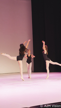 Finesa plesa (13)